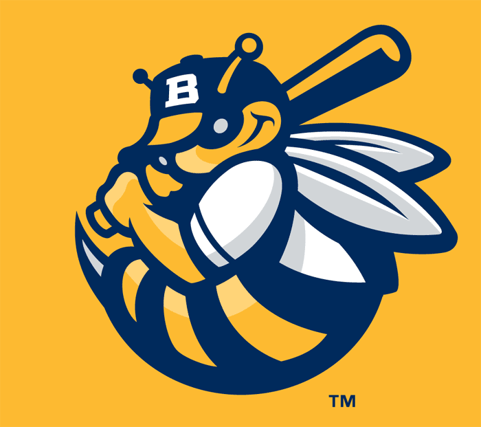 Burlington Bees 2007-Pres Cap Logo v4 iron on heat transfer